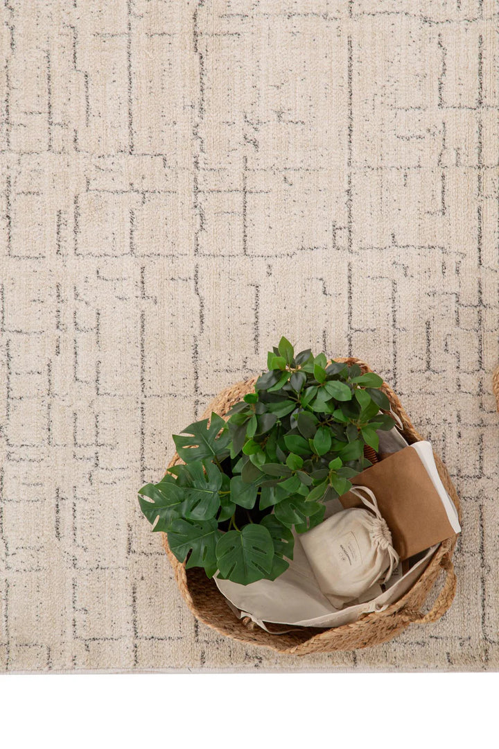 Μοντέρνο Χαλί Μπεζ-Γκρι Matisse Royal Carpet 200X290 (28339A)