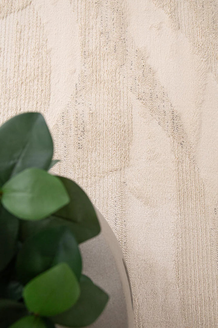 Μοντέρνο Χαλί Μπεζ Matisse Royal Carpet 200X290 (29563)