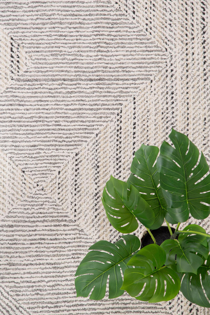 Μοντέρνο Χαλί Solid 2.00X2.50 - 618 Λευκό Royal Carpet