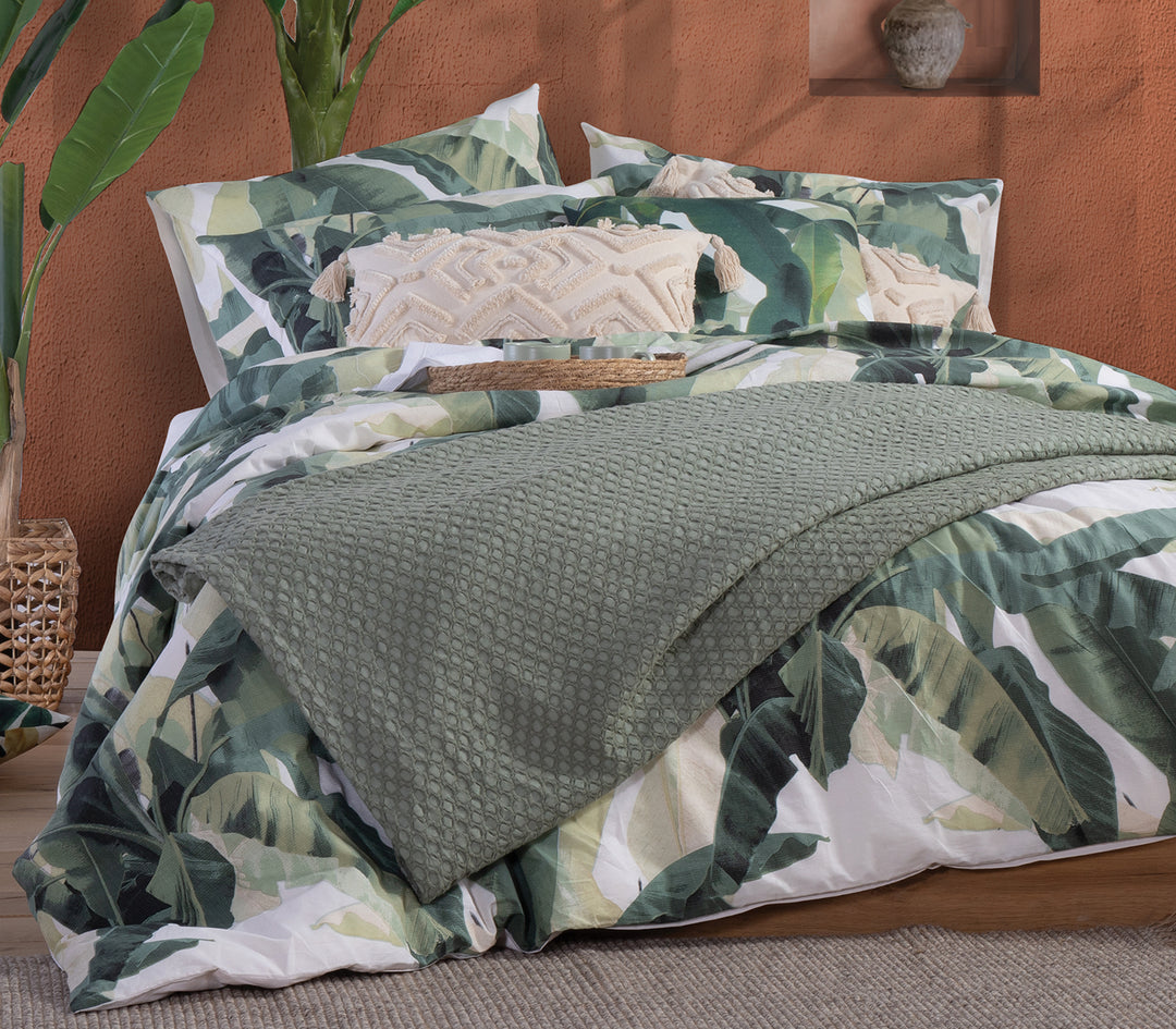 https://xtend.gr/softonedemo/035111green-1.jpg