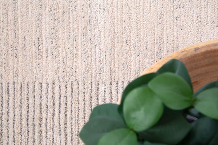 Μοντέρνο Χαλί Μπεζ-Γκρι Matisse Royal Carpet 200X290 (24395C)