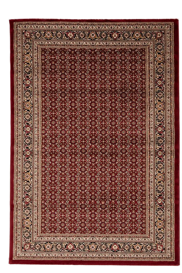 Κλασικό Χαλί Κόκκινο από Προπυλένιο Teheran(3924) Royal Carpet 2.00X3.00