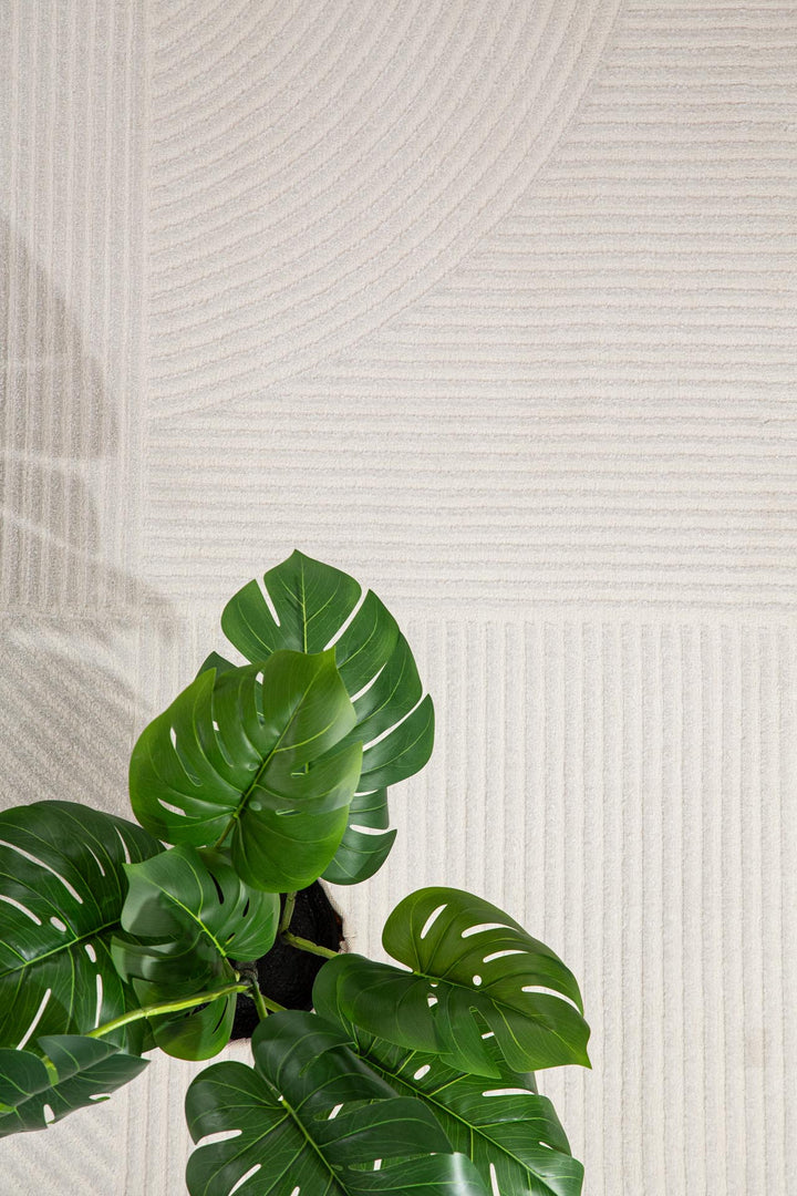 Χαλί Organic Royal Carpet σε cream απόχρωση με μοτίβο γραμμών και κύκλων, διακοσμημένο με πράσινο φυτό σε minimal στυλ.