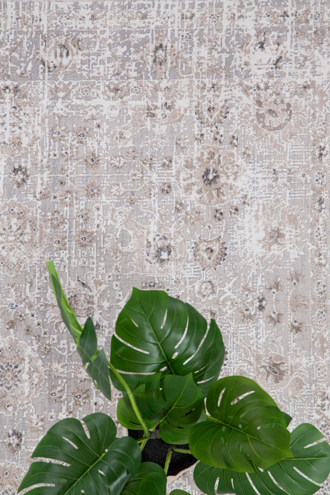 Vintage Χαλί Γκρι Πολυεστερικό Infinity Royal Carpet 2.40X3.00