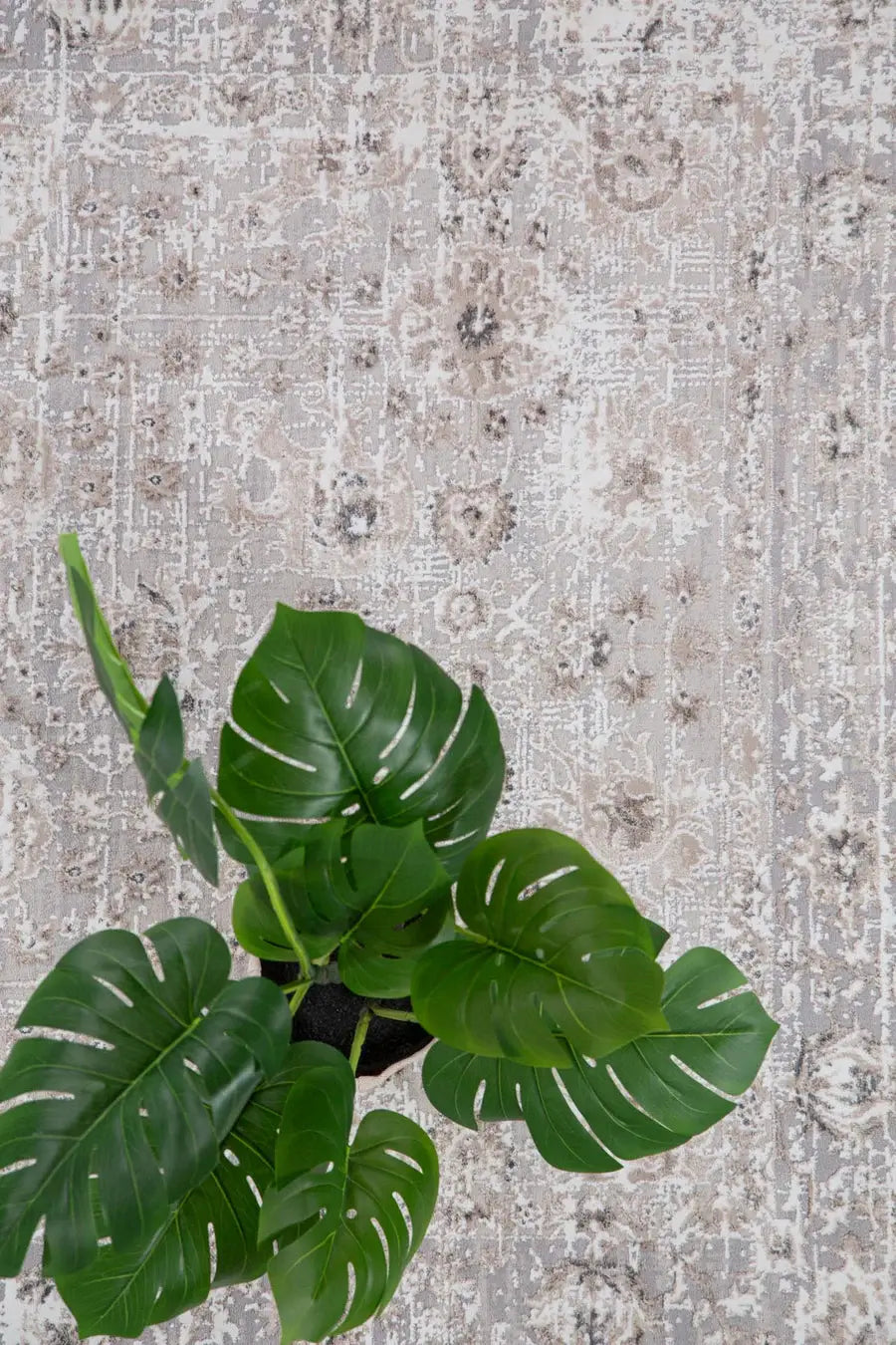 Vintage Χαλί Γκρι Πολυεστερικό Infinity Royal Carpet 1.60X2.30