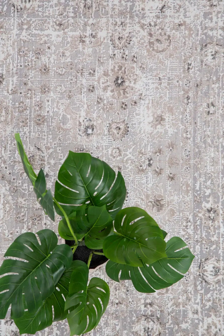 Vintage Χαλί Γκρι Πολυεστερικό Infinity Royal Carpet 1.60X2.30