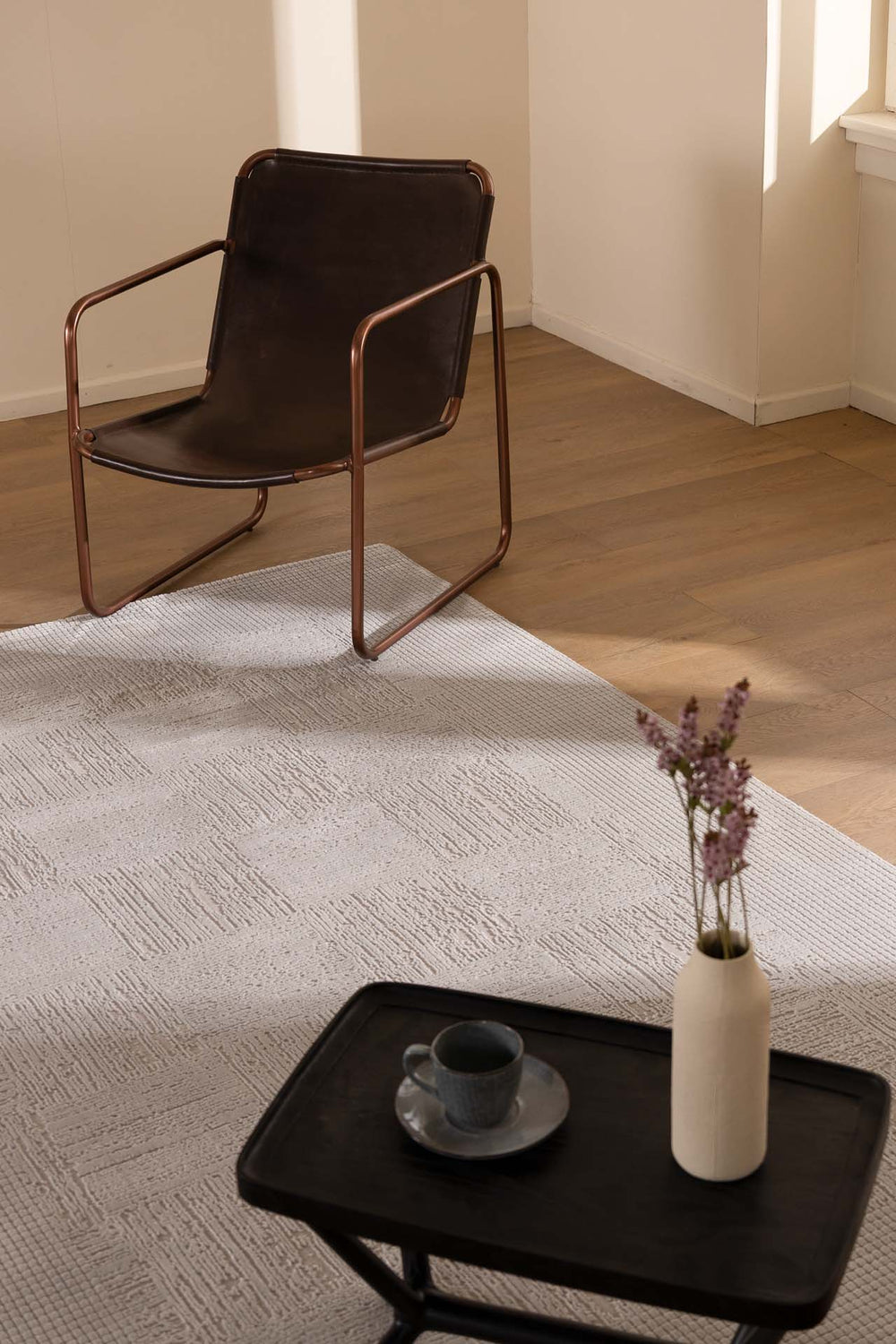 Μοντέρνο Χαλί Γκρι Bianca 160Χ230 Royal Carpet (680AGREY)